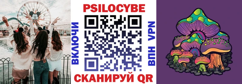 Галлюциногенные грибы Psilocybe  цены наркотик  Коряжма 