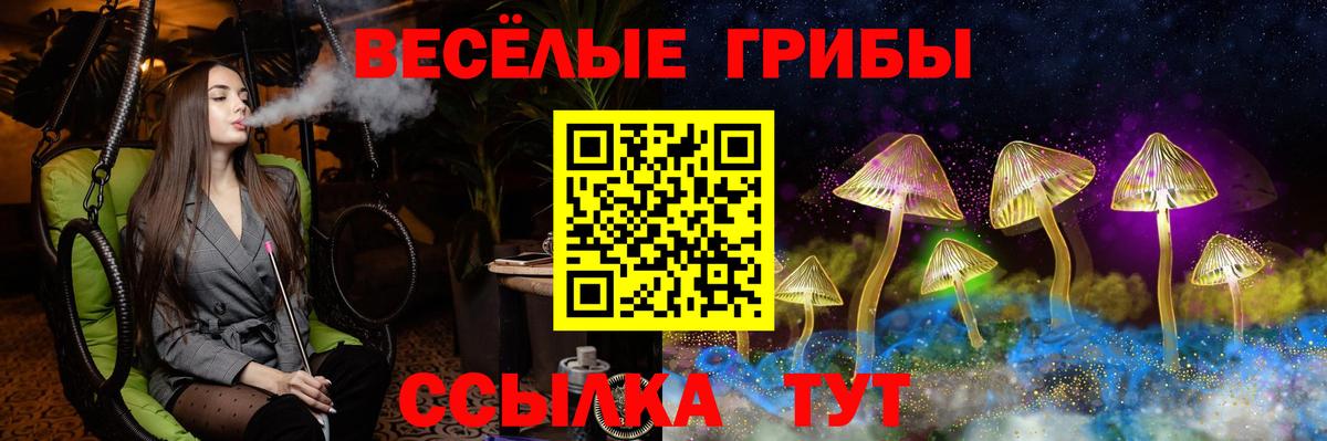Галлюциногенные грибы MAGIC MUSHROOMS Коряжма