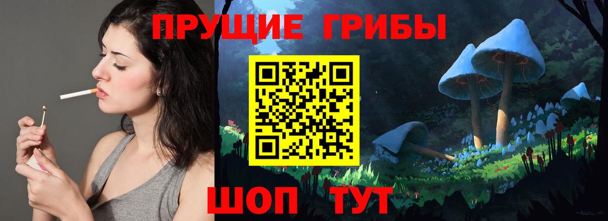 Коряжма  Псилоцибиновые грибы Psilocybine cubensis  Вход с VPN  Псилоцибиновые грибы мухоморы 